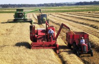 /album/fahr-1955-/yourfile-jpg/