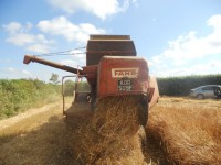 /album/fahr-1955-/yourfile1-jpg/